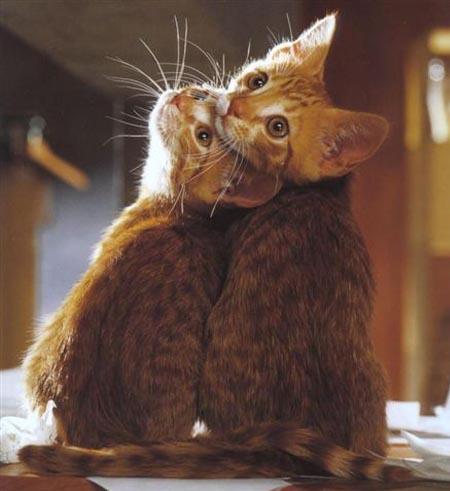 ya7alawa !:!!!!!!!!!!!!!!!