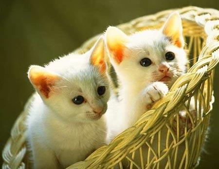 lah 3la 7lawa hadiiiiiiiiiiiiiiiiiiiiiiii ???????????? !!!!!!!!!!!!!!!!